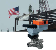 pressure independent characterized control valve