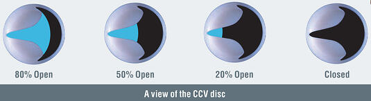 CCV Disc Overview
