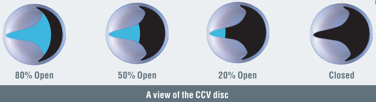 CCV disc